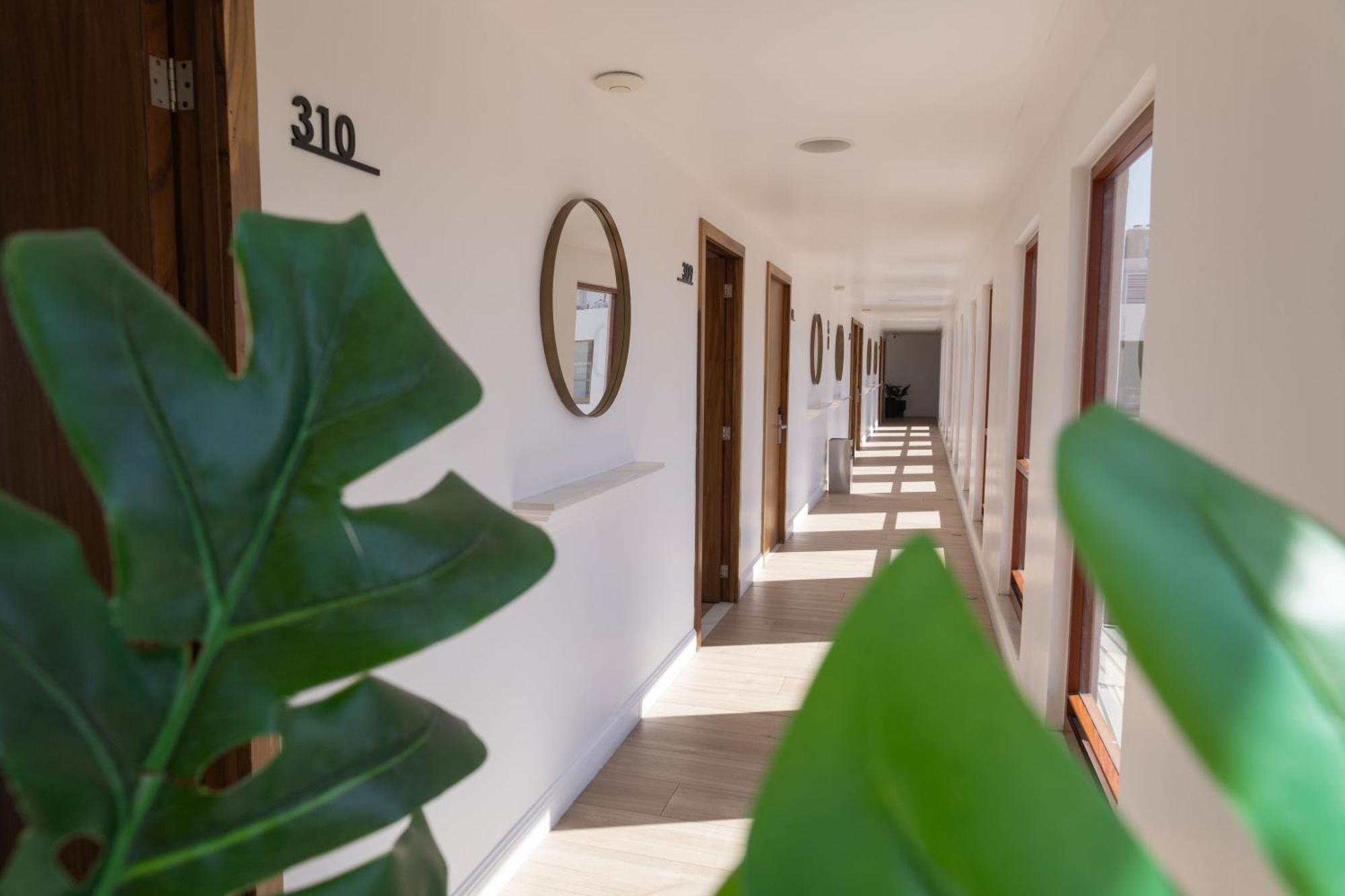 Six Hotel Guadalajara Degollado Exterior photo